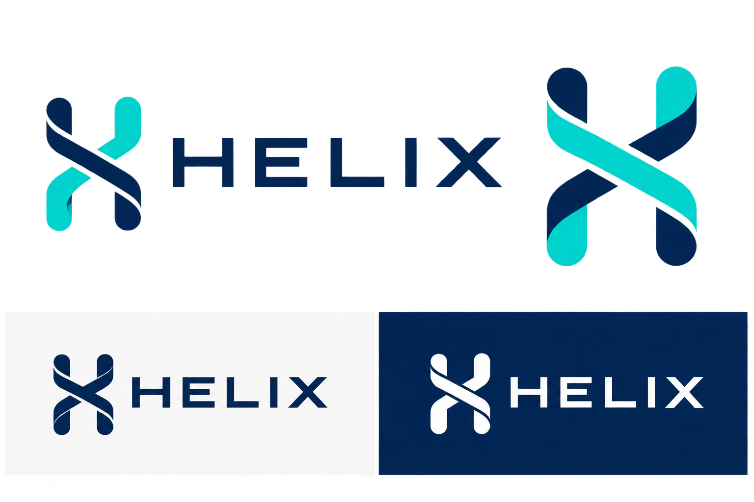 Helix MedTech System master logo and icon system
