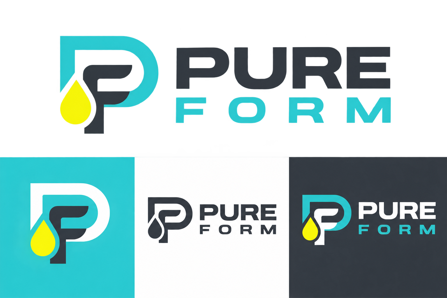Pure Form Household master logo and icon system