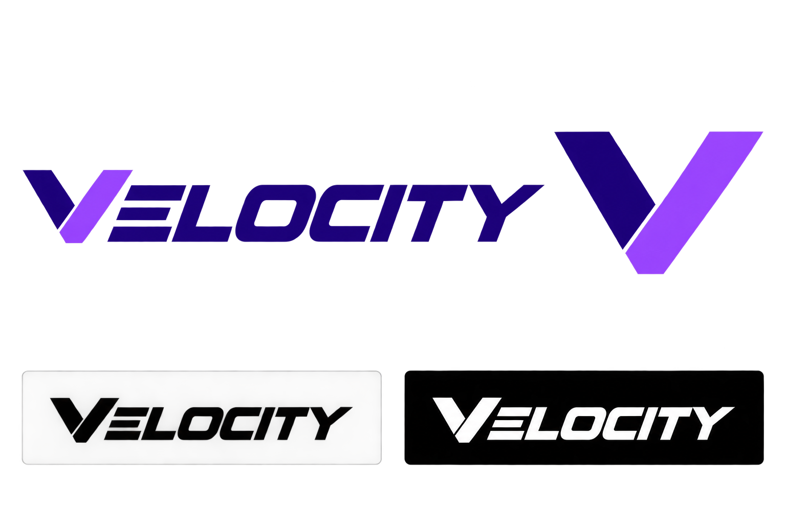 Velocity Commerce Campaign master logo and icon system